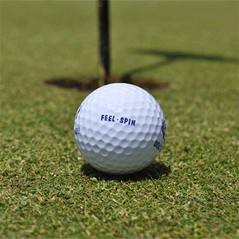 lungau-golf-metnitztalerhof-friesach-villa-bucher