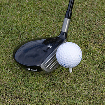 mariahof-golf-metnitztalerhof-friesach-villa-bucher